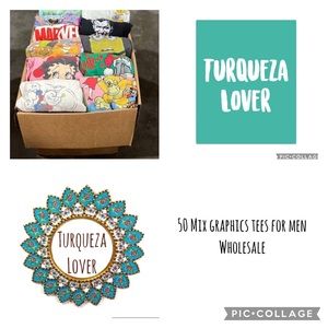 Wholesale 50 graphic tee / t shirts for men. shirt lot (bundle)